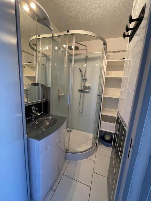 Superbe Appartement 6 Personnes Avec Piscine Secteur Richelieu, A 400M De La Plage Et A 650M Du Centre Port Agde Zewnętrze zdjęcie